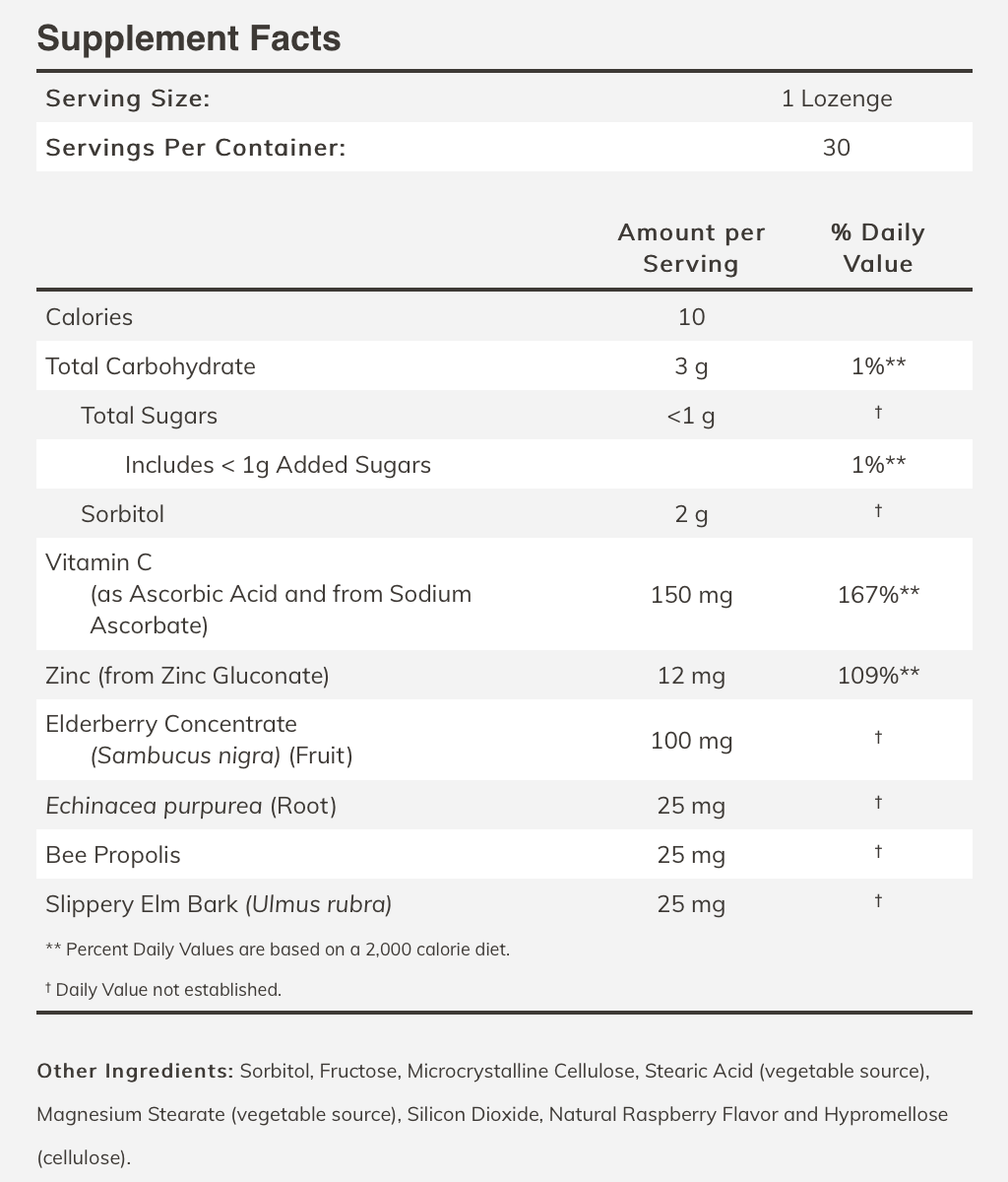 ElderberryZinc Lozenges Arrive Nutrition Center