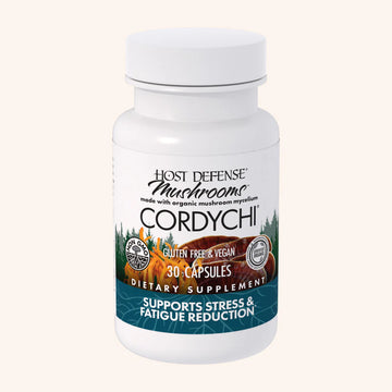 Cordychi