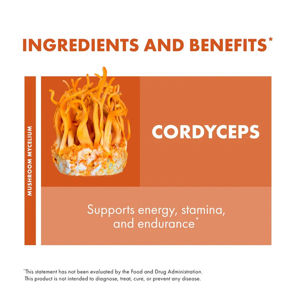 Cordyceps