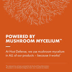 Cordyceps