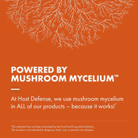 Cordyceps