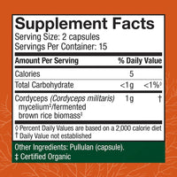 Cordyceps