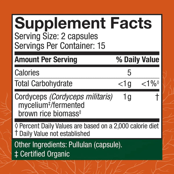 Cordyceps