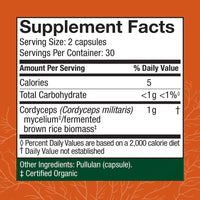 Cordyceps