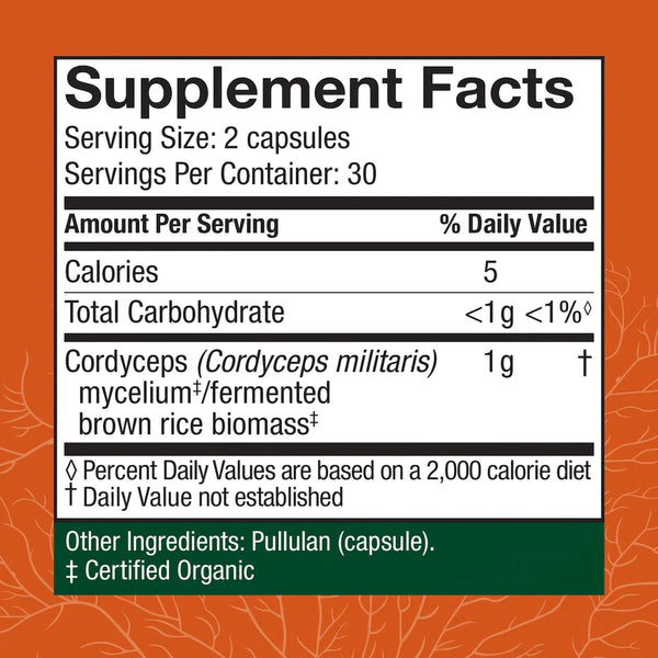 Cordyceps